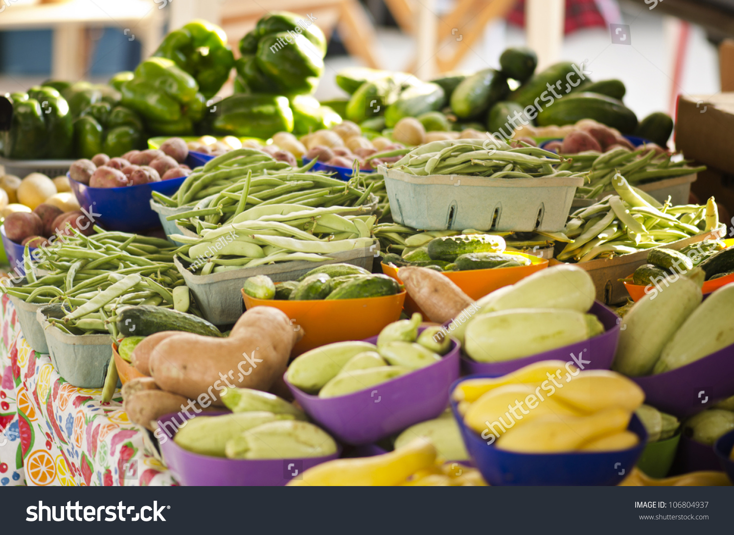 各种健康的蔬菜一个露天农贸市场有豆类,土豆,南瓜,黄瓜,辣椒等等