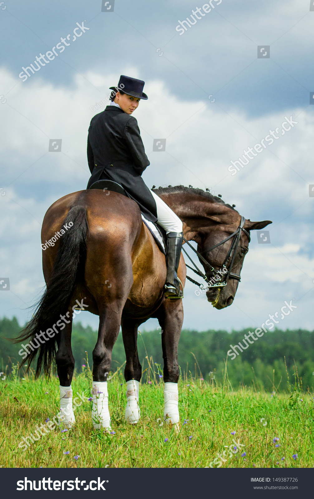 年轻女子骑着马在山顶上。马术运动--盛装舞步