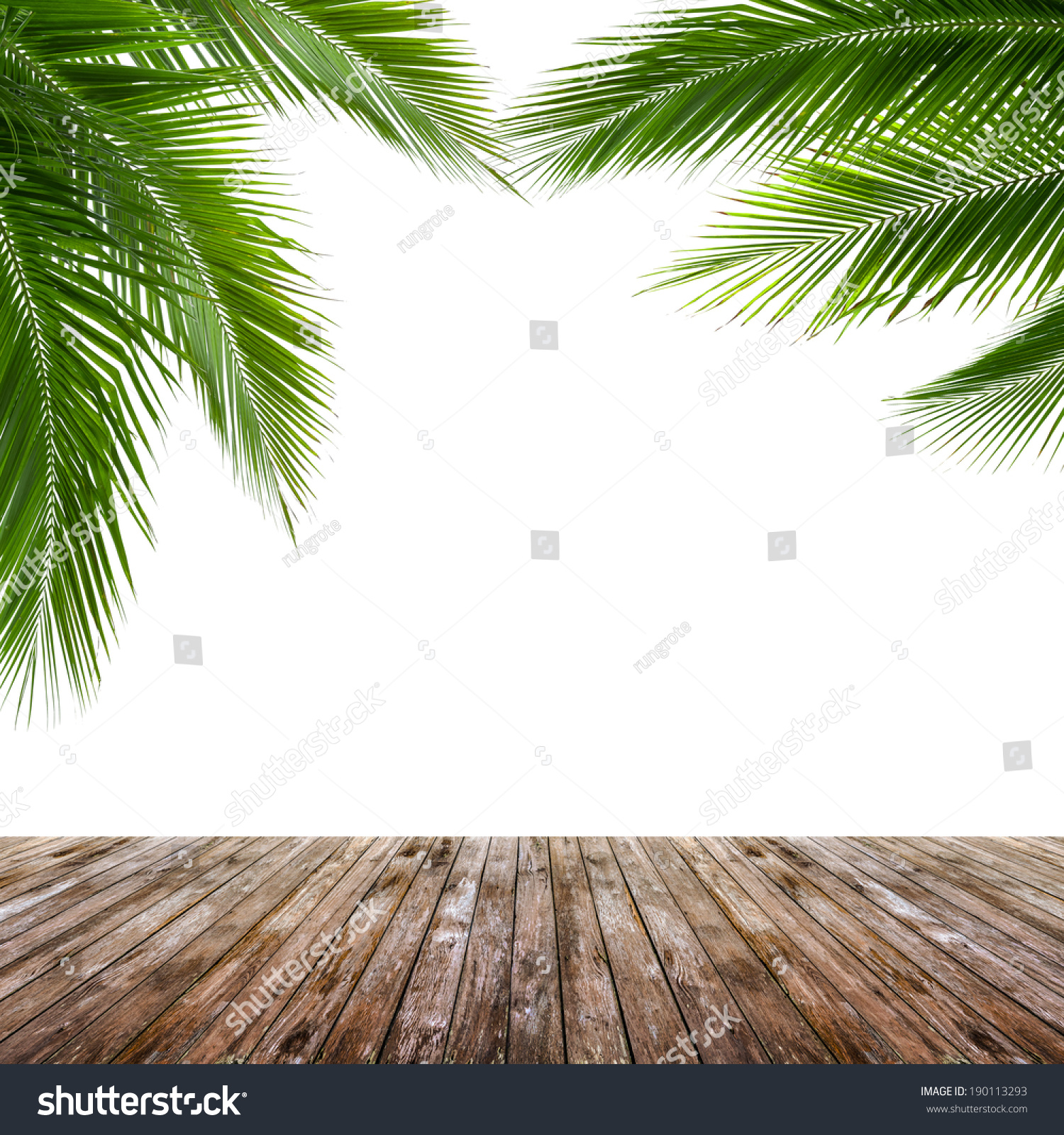 椰子树叶和木地板孤立在白色背景,设计取代任何海滩背景 - 背景/素材,自然 - 站酷海洛创意正版图片,视频,音乐素材交易平台 - Shutterstock中国独家合作伙伴 - 站酷旗下品牌