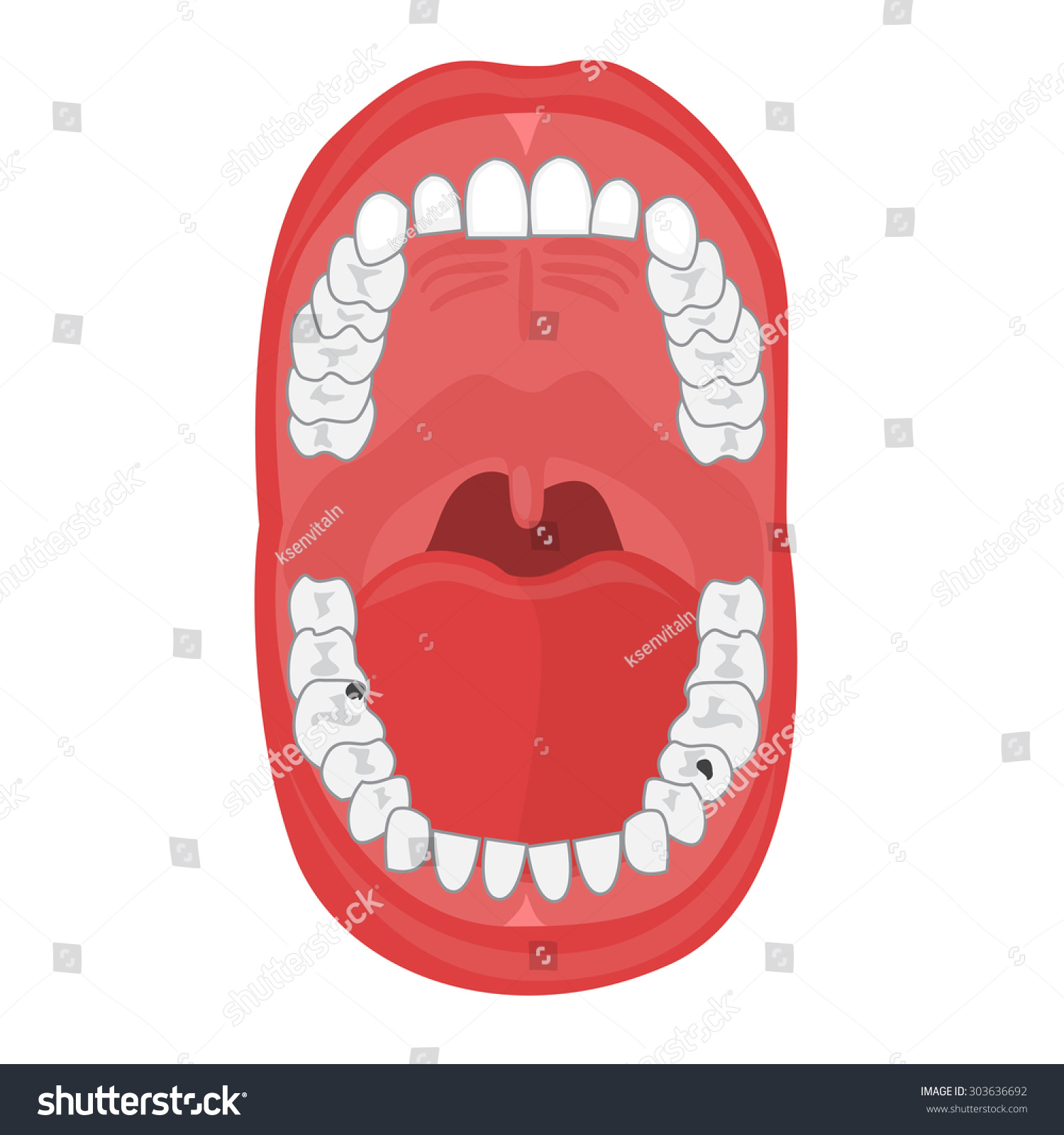 人类的口腔白色背景说明。蛾解剖学。龋齿,牙