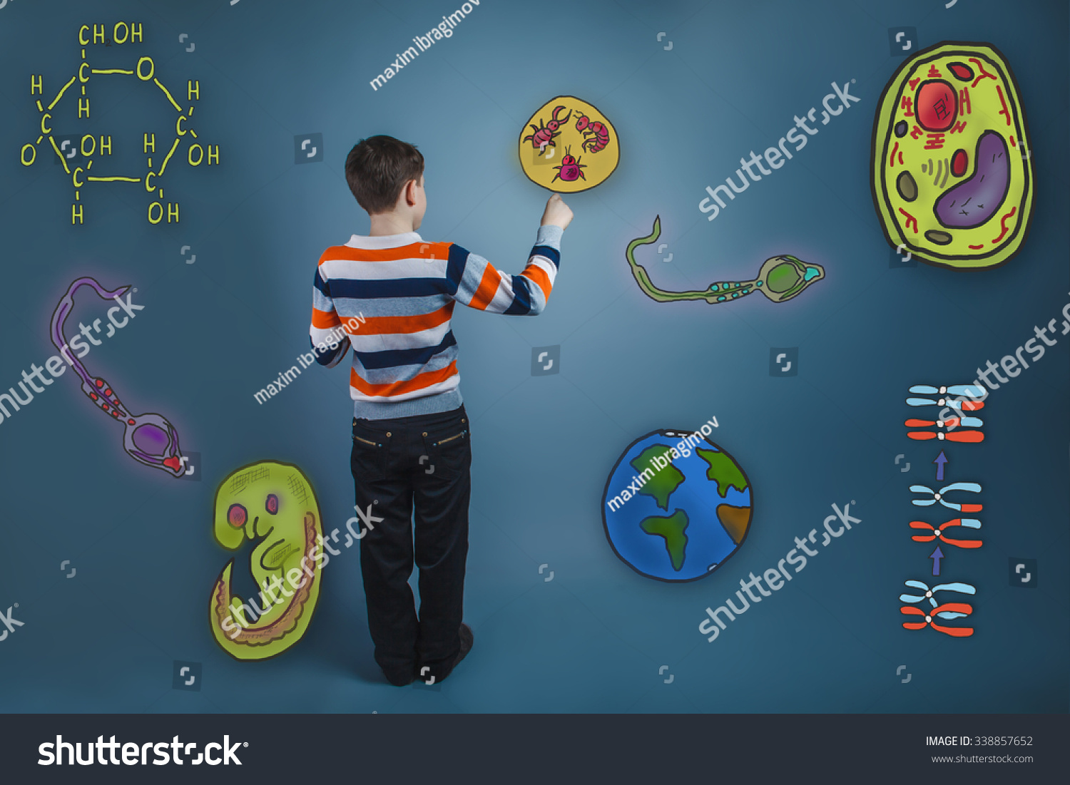 提高他的手画图标生物学教育形成的胚胎图片