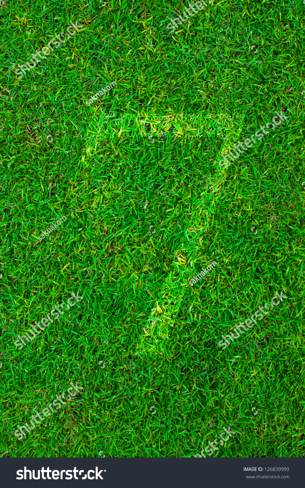 绿色草地上白色的行号(1 2 3 4 5 6 7 8 9 0)