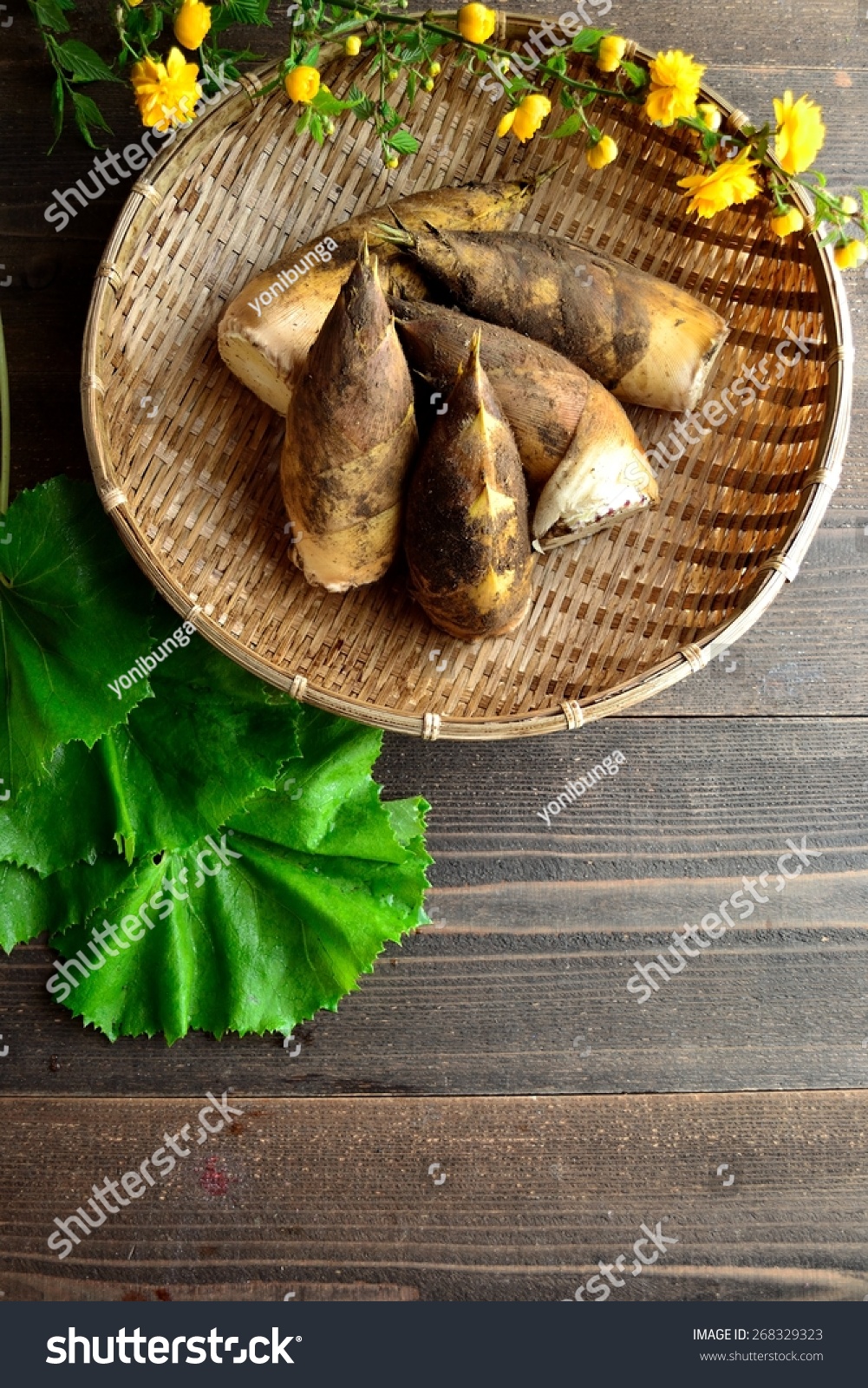 bamboo shoots,butterbur and japanese kerria.