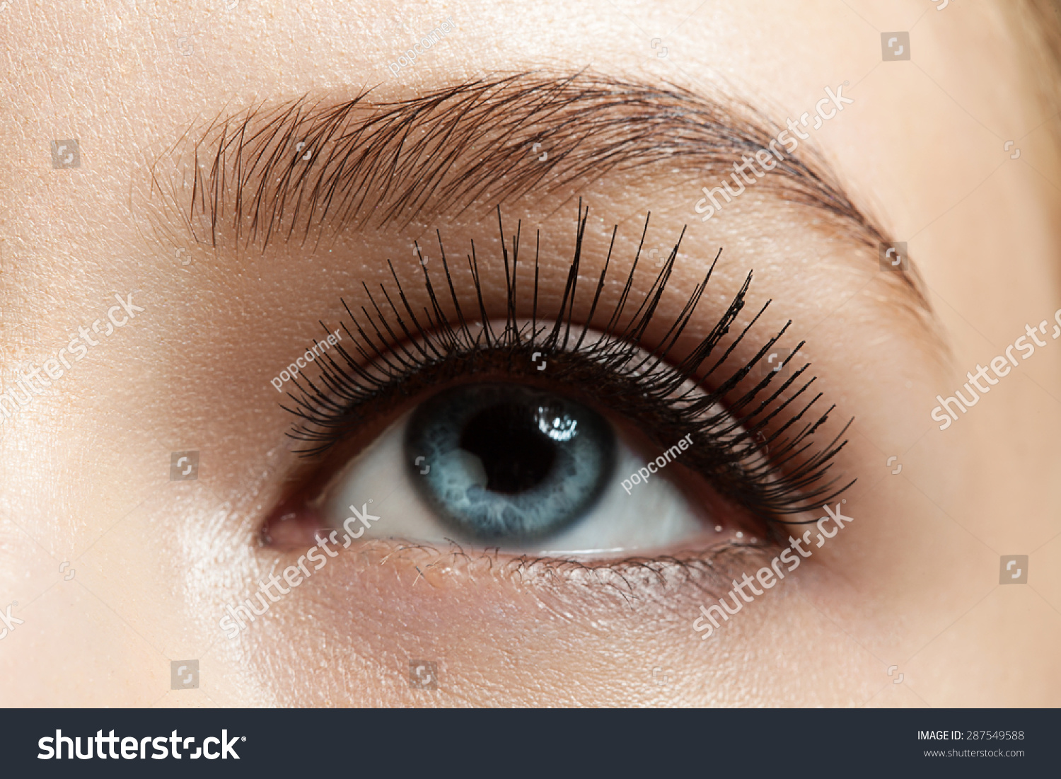 把眼睛闭上 原标题 close-up of make-up eye with long eyelashes